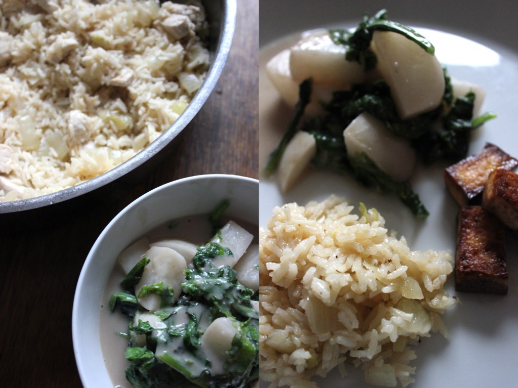 Chicken_Rice_SaladTurnips_IMG_7757